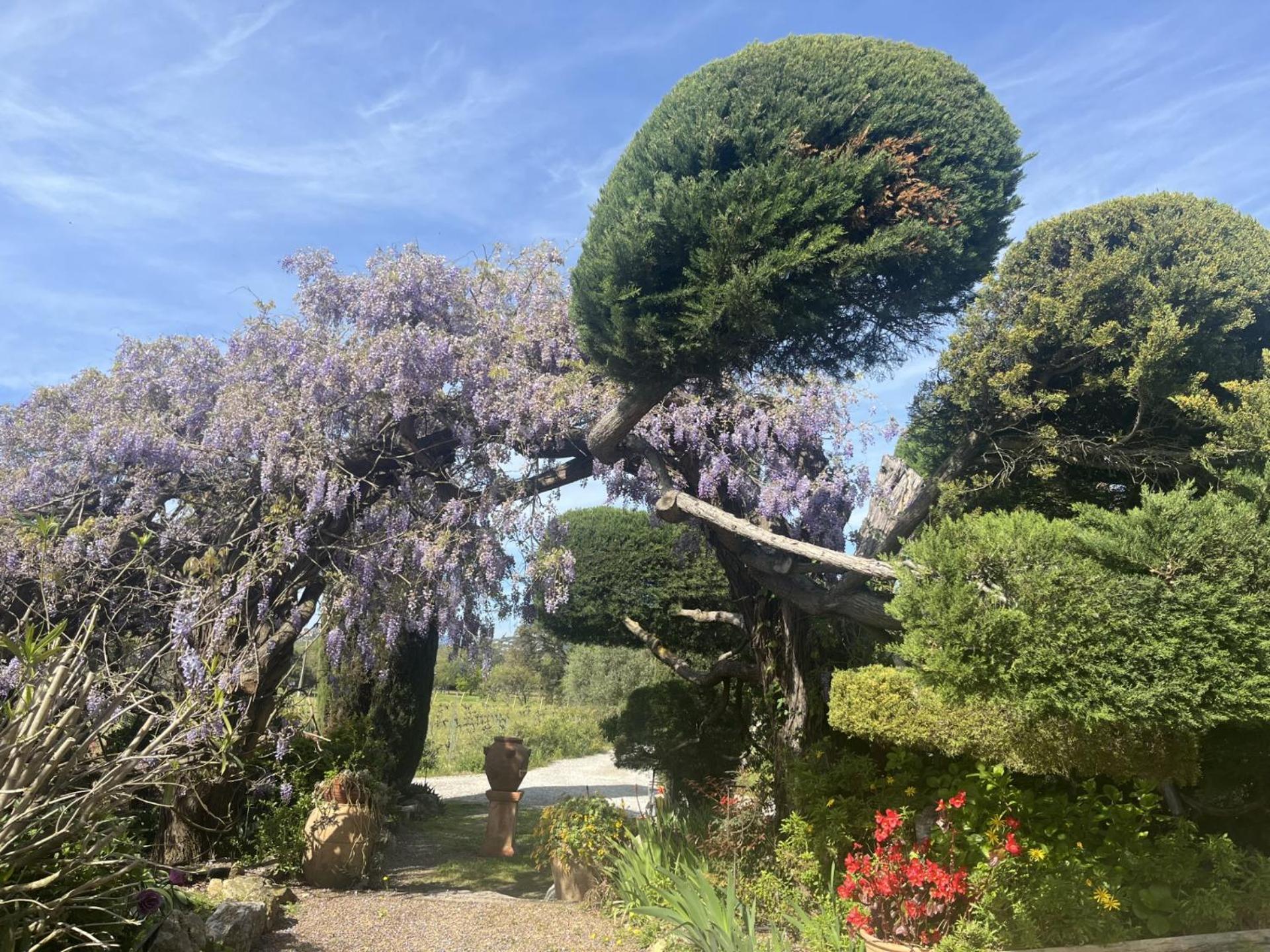 La Maison De Justine Grimaud Ngoại thất bức ảnh